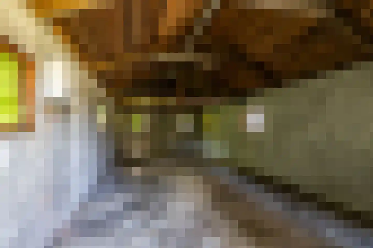 Langewijk 24 Sappemeer thumbnail 21