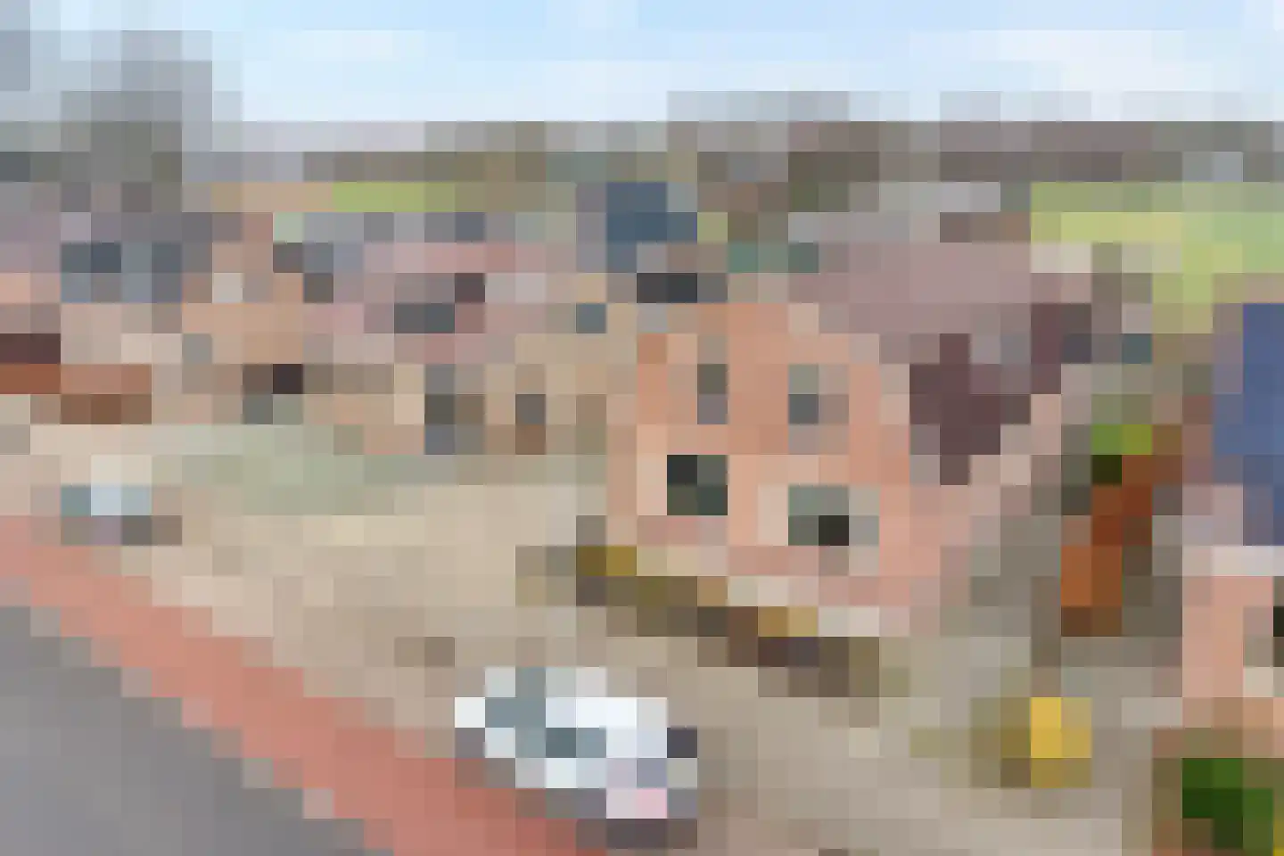 Langewijk 258 Dedemsvaart foto 3