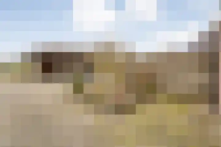 Langewijk 258 Dedemsvaart thumbnail 39
