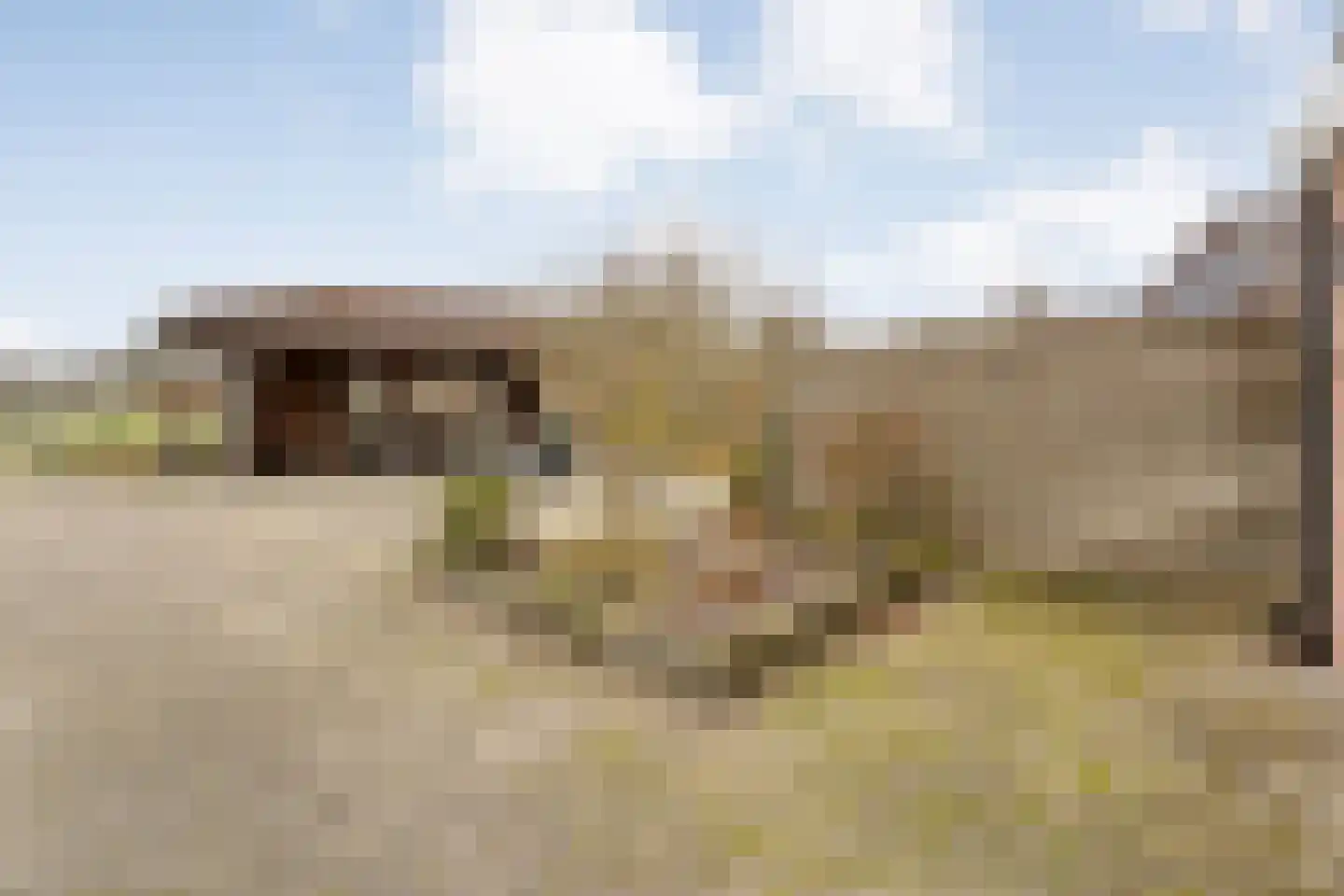 Langewijk 258 Dedemsvaart thumbnail 39