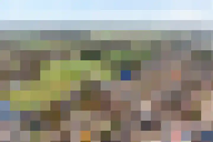 Langewijk 258 Dedemsvaart thumbnail 4