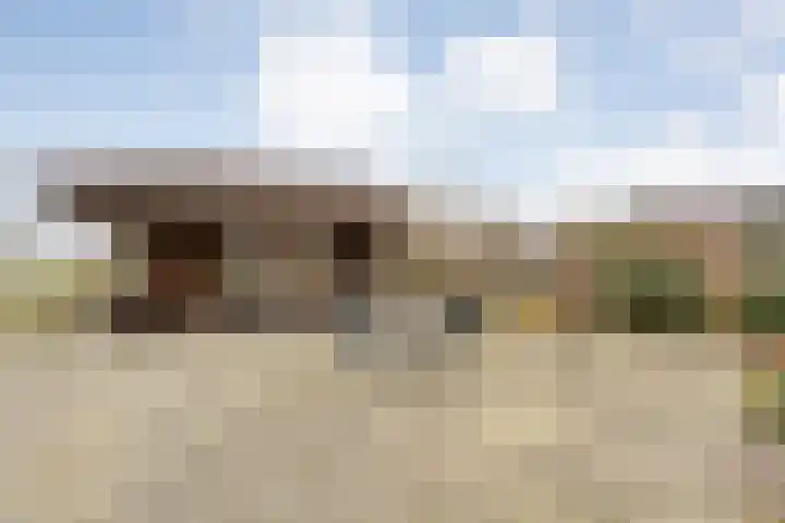 Langewijk 258 Dedemsvaart thumbnail 40