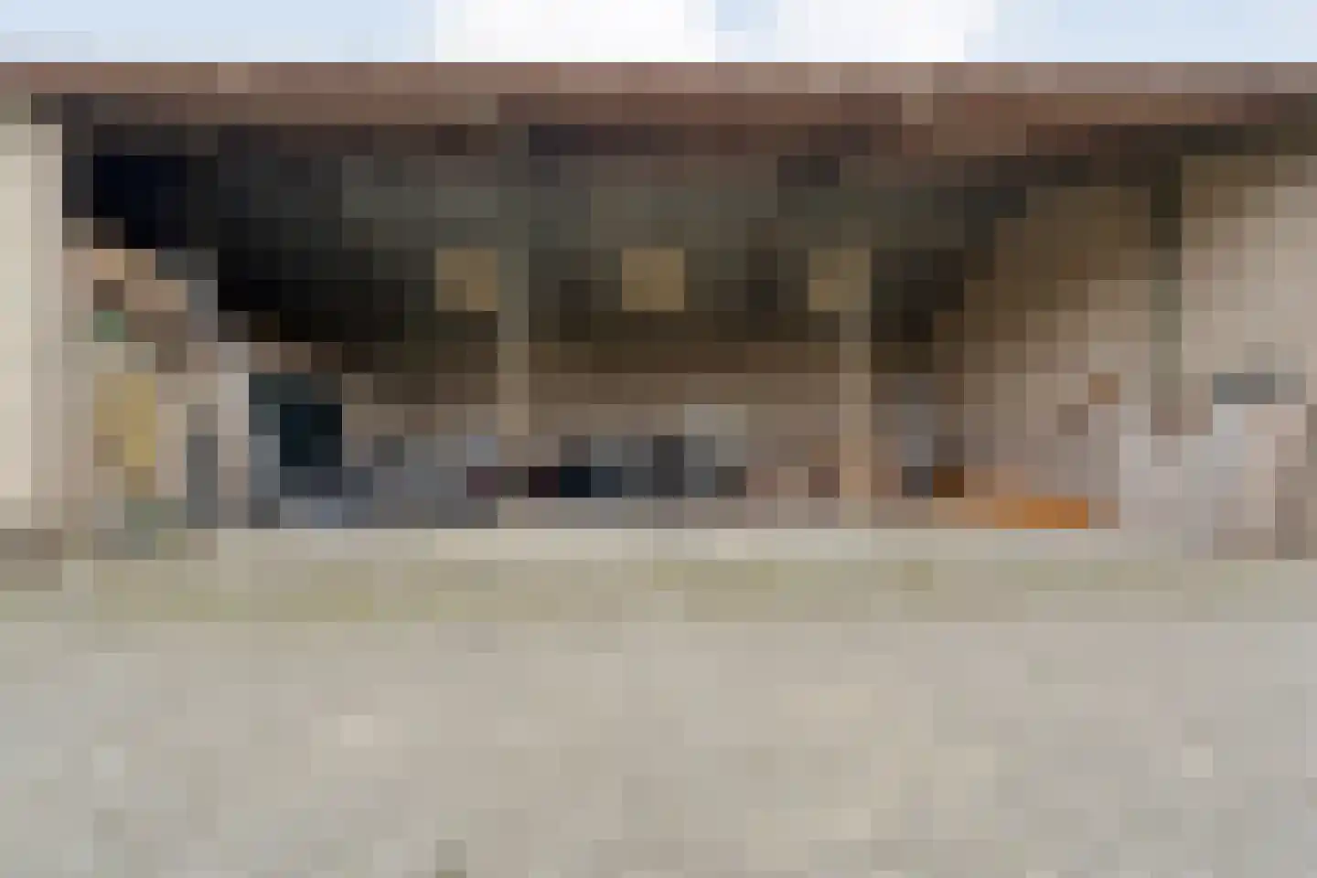 Langewijk 258 Dedemsvaart thumbnail 43