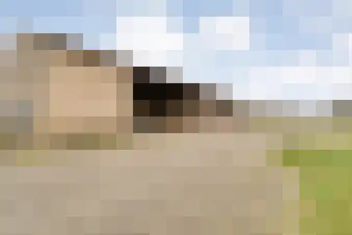 Langewijk 258 Dedemsvaart thumbnail 47