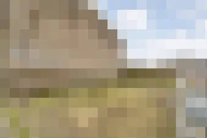 Langewijk 258 Dedemsvaart thumbnail 48