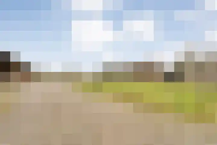 Langewijk 258 Dedemsvaart thumbnail 49