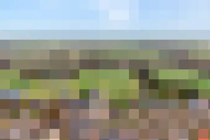 Langewijk 258 Dedemsvaart thumbnail 5