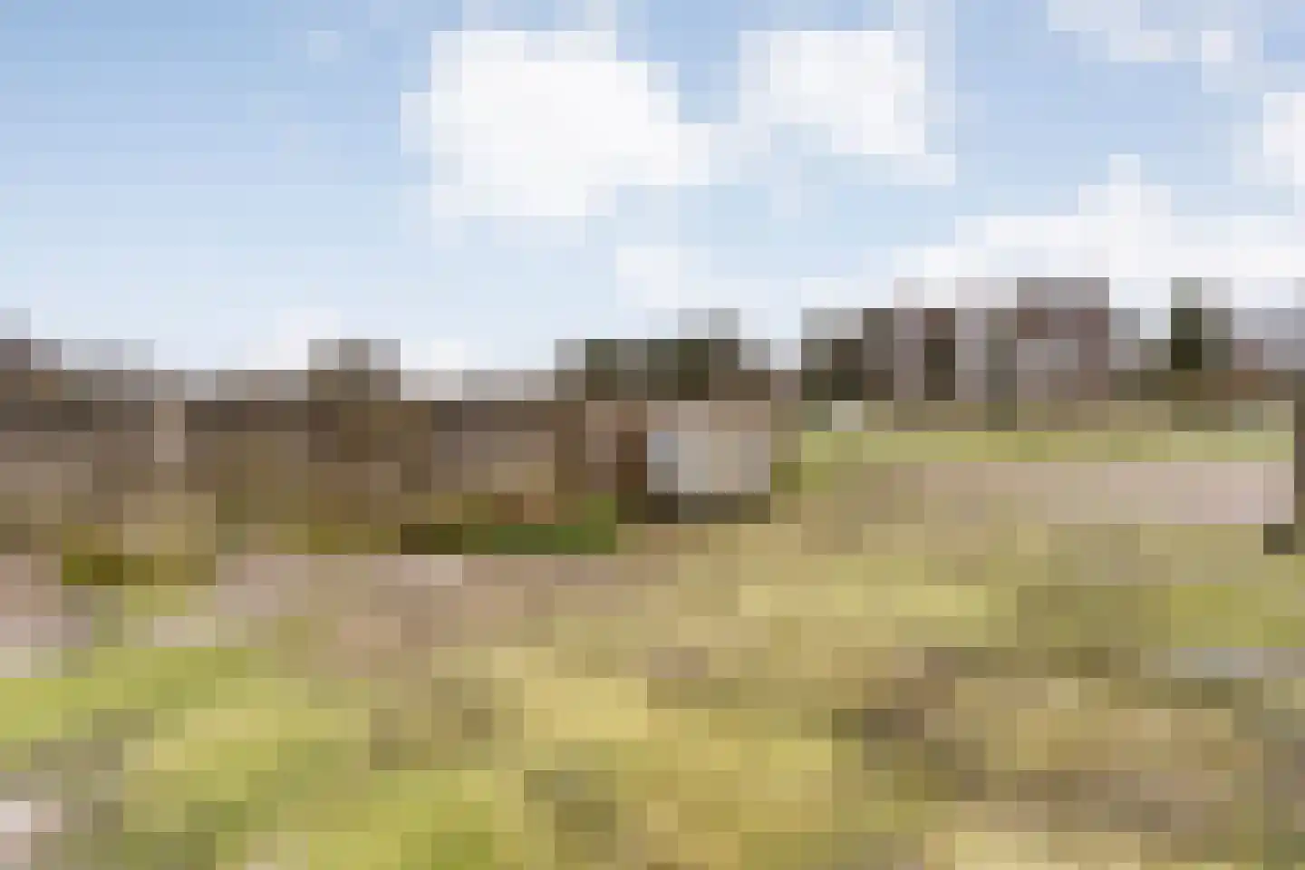 Langewijk 258 Dedemsvaart thumbnail 50