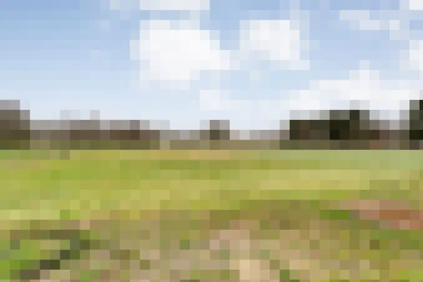 Langewijk 258 Dedemsvaart thumbnail 51