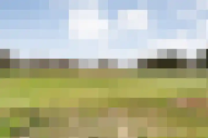 Langewijk 258 Dedemsvaart thumbnail 51