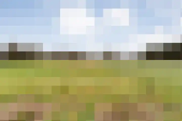 Langewijk 258 Dedemsvaart thumbnail 52