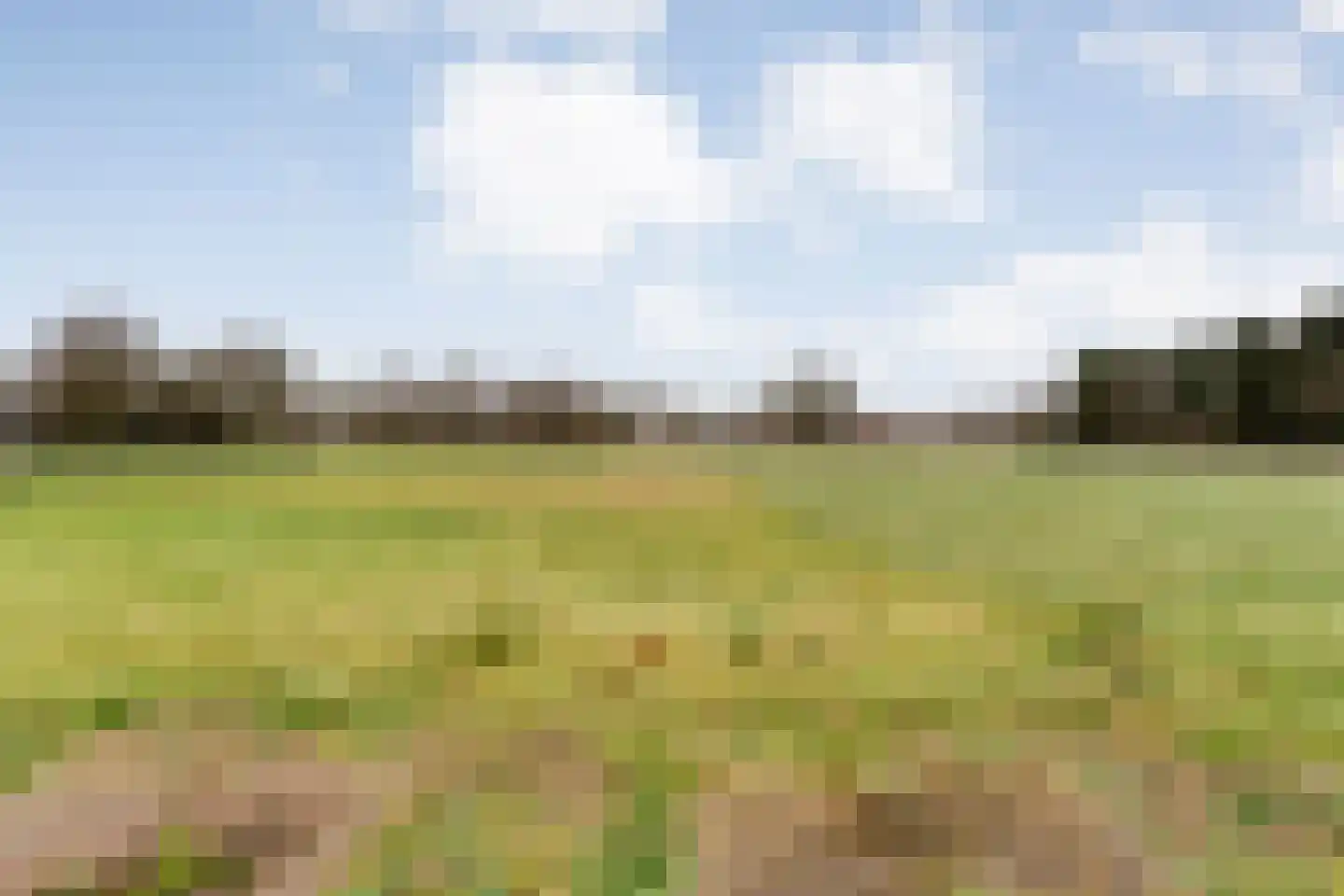 Langewijk 258 Dedemsvaart thumbnail 52