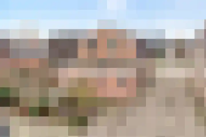 Langewijk 258 Dedemsvaart thumbnail 53