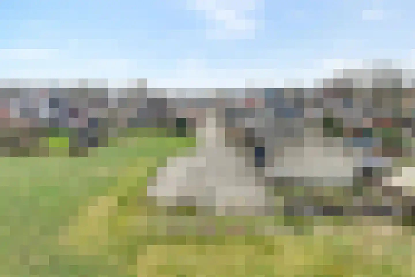 Langewijk 258 Dedemsvaart thumbnail 57