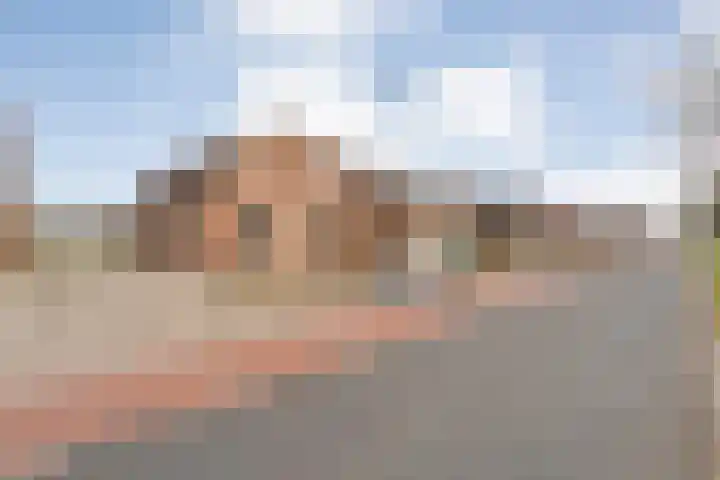 Langewijk 258 Dedemsvaart thumbnail 6