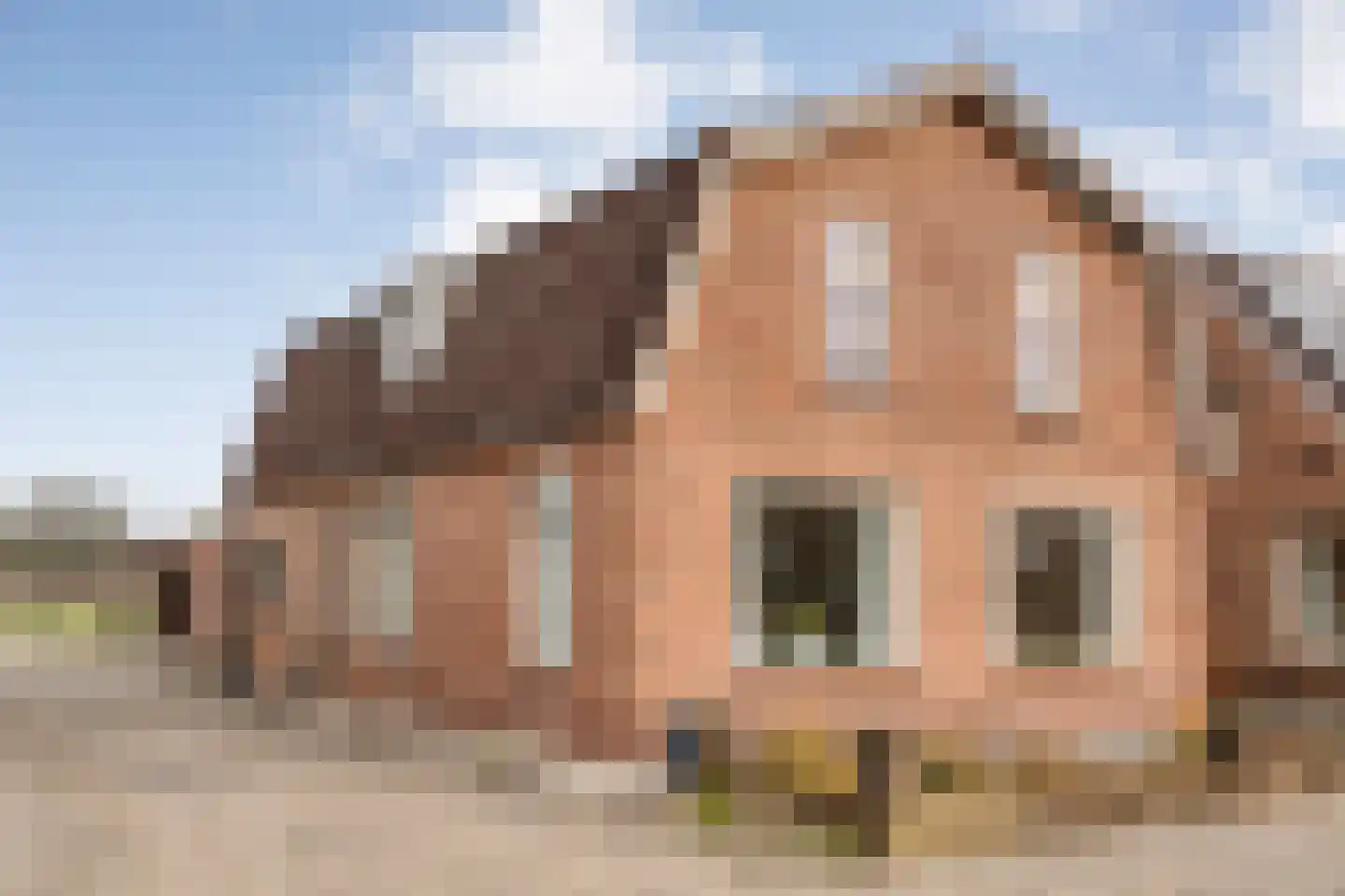 Langewijk 258 Dedemsvaart thumbnail 63