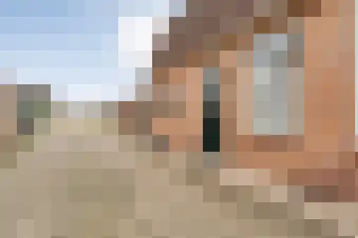 Langewijk 258 Dedemsvaart thumbnail 7