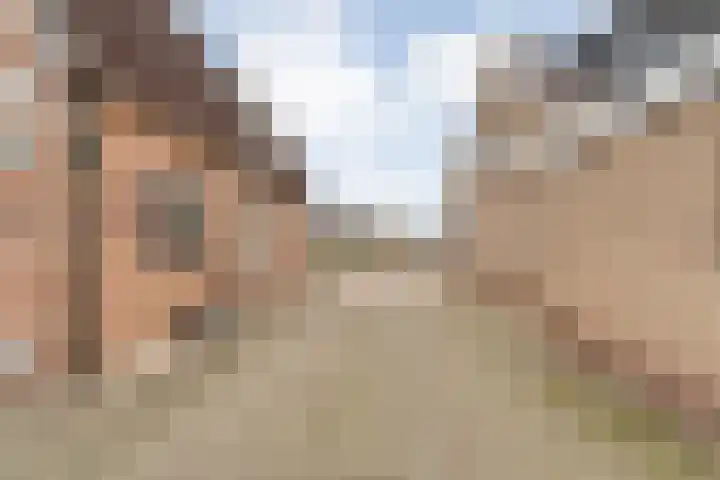 Langewijk 258 Dedemsvaart thumbnail 8