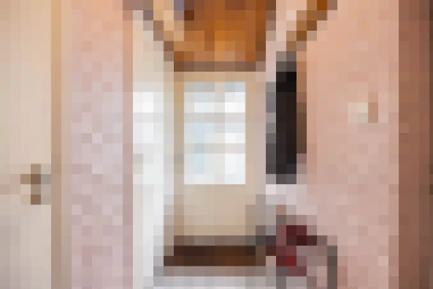 Langewijk 26 Sappemeer thumbnail 19