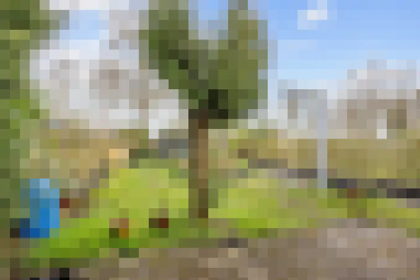 Langewijk 26 Sappemeer thumbnail 43