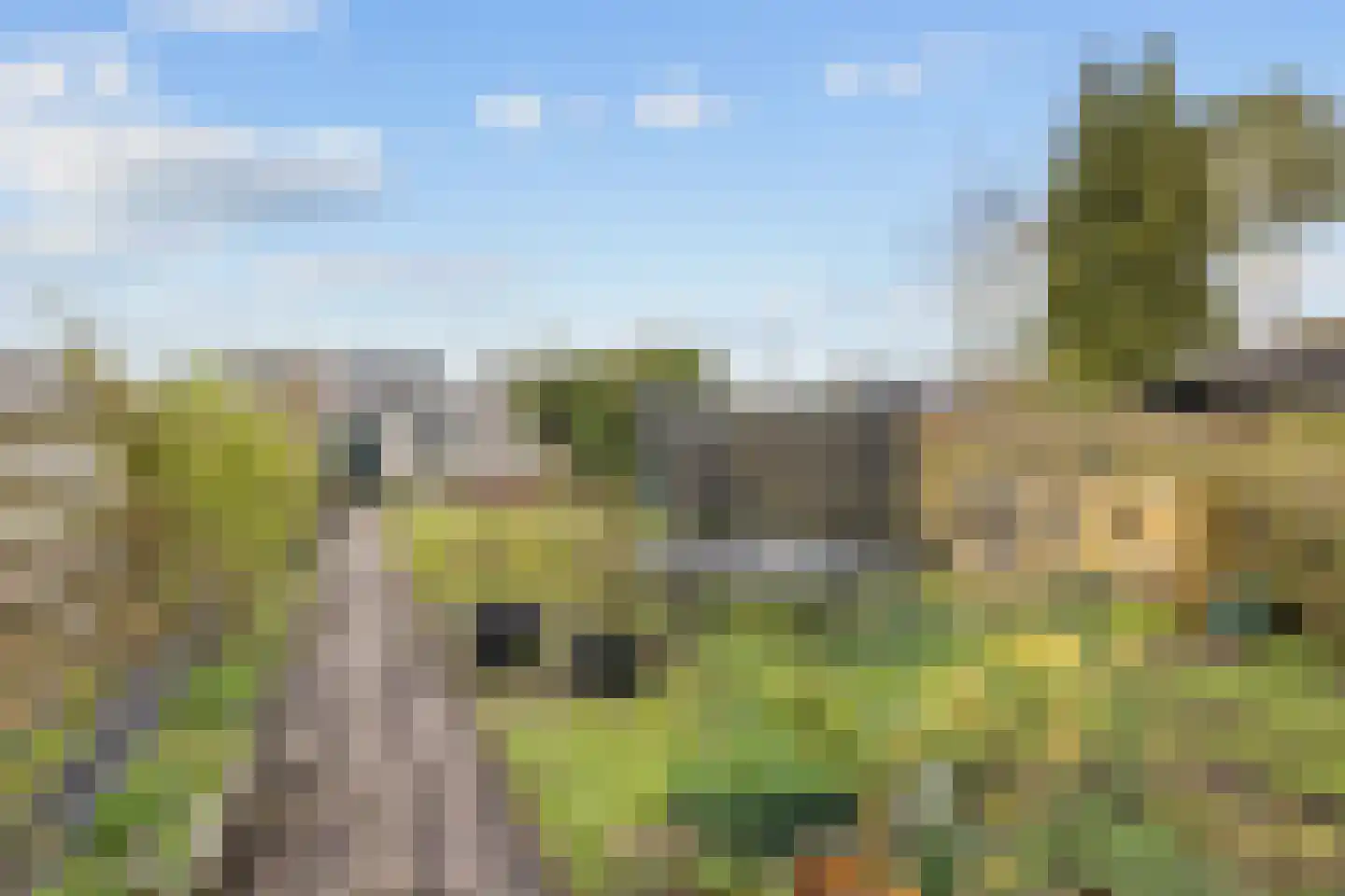 Langewijk 26 Sappemeer thumbnail 46