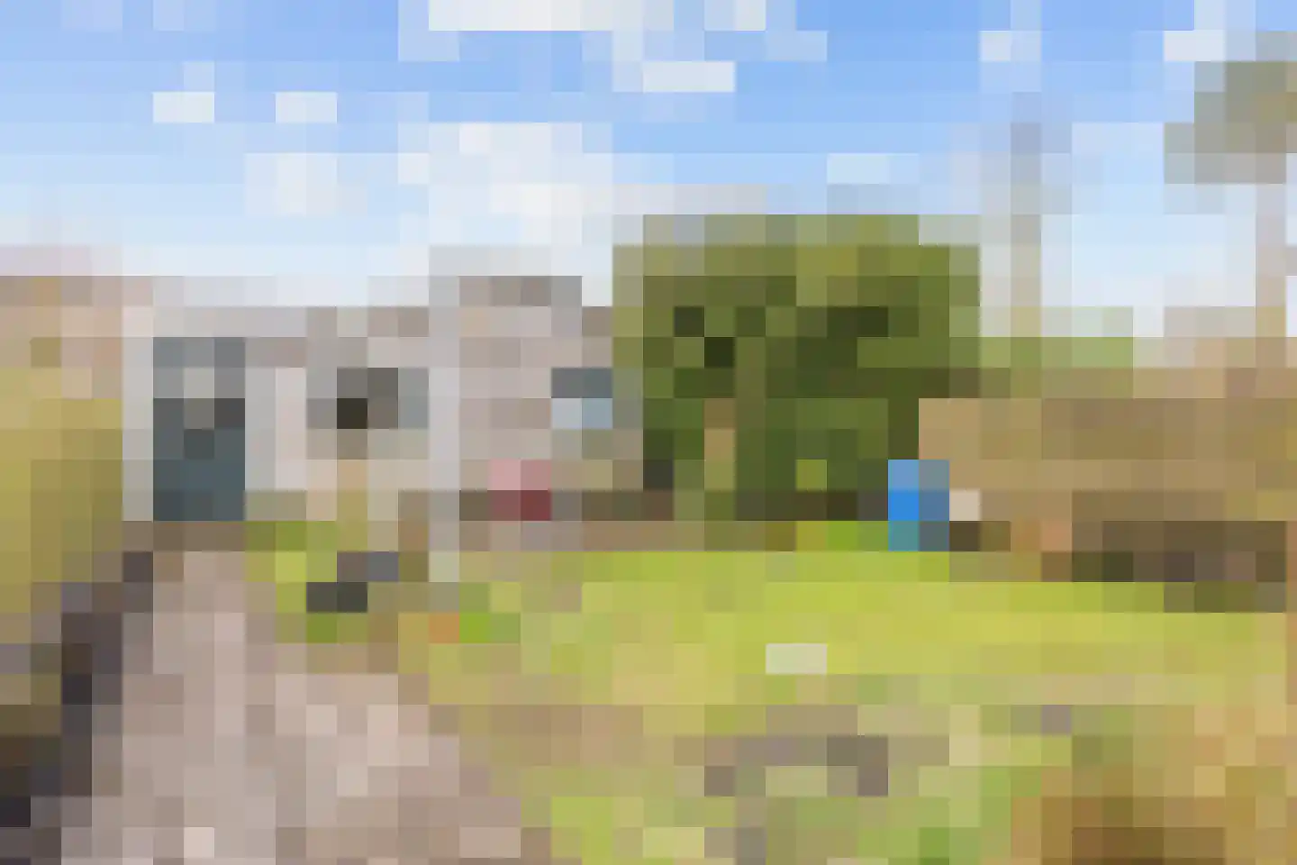 Langewijk 26 Sappemeer thumbnail 47