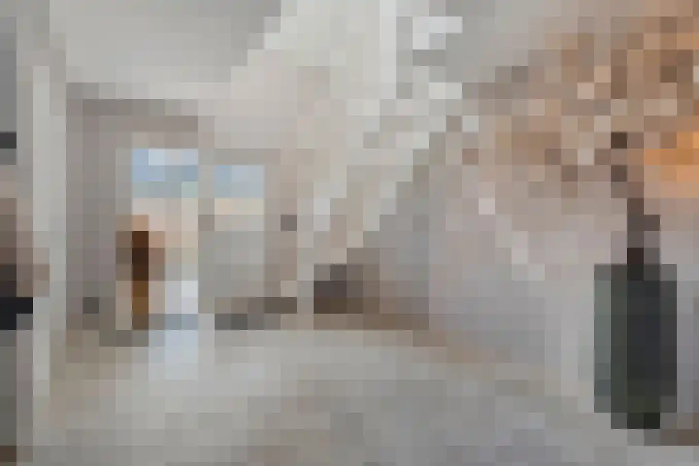 Langewijk 264 Dedemsvaart thumbnail 10