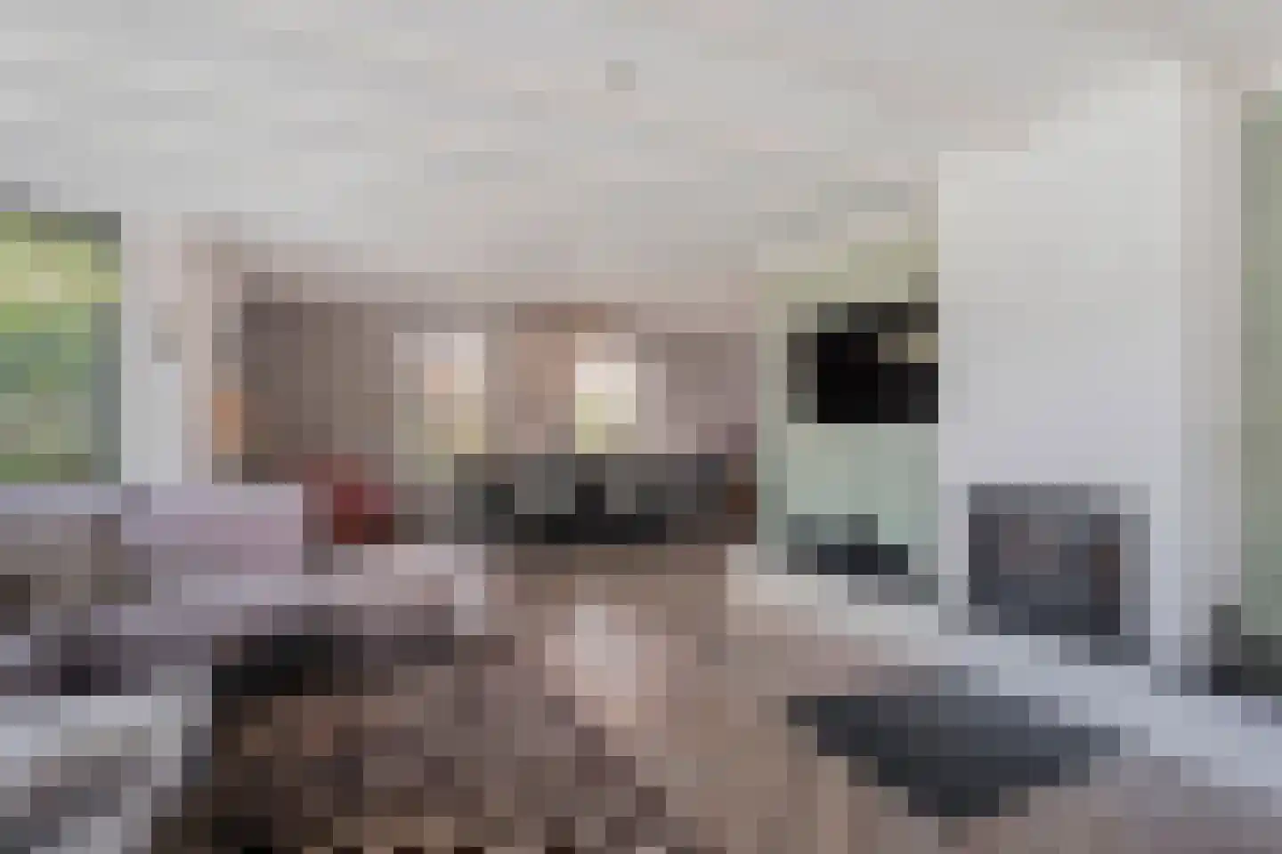 Langewijk 264 Dedemsvaart thumbnail 11