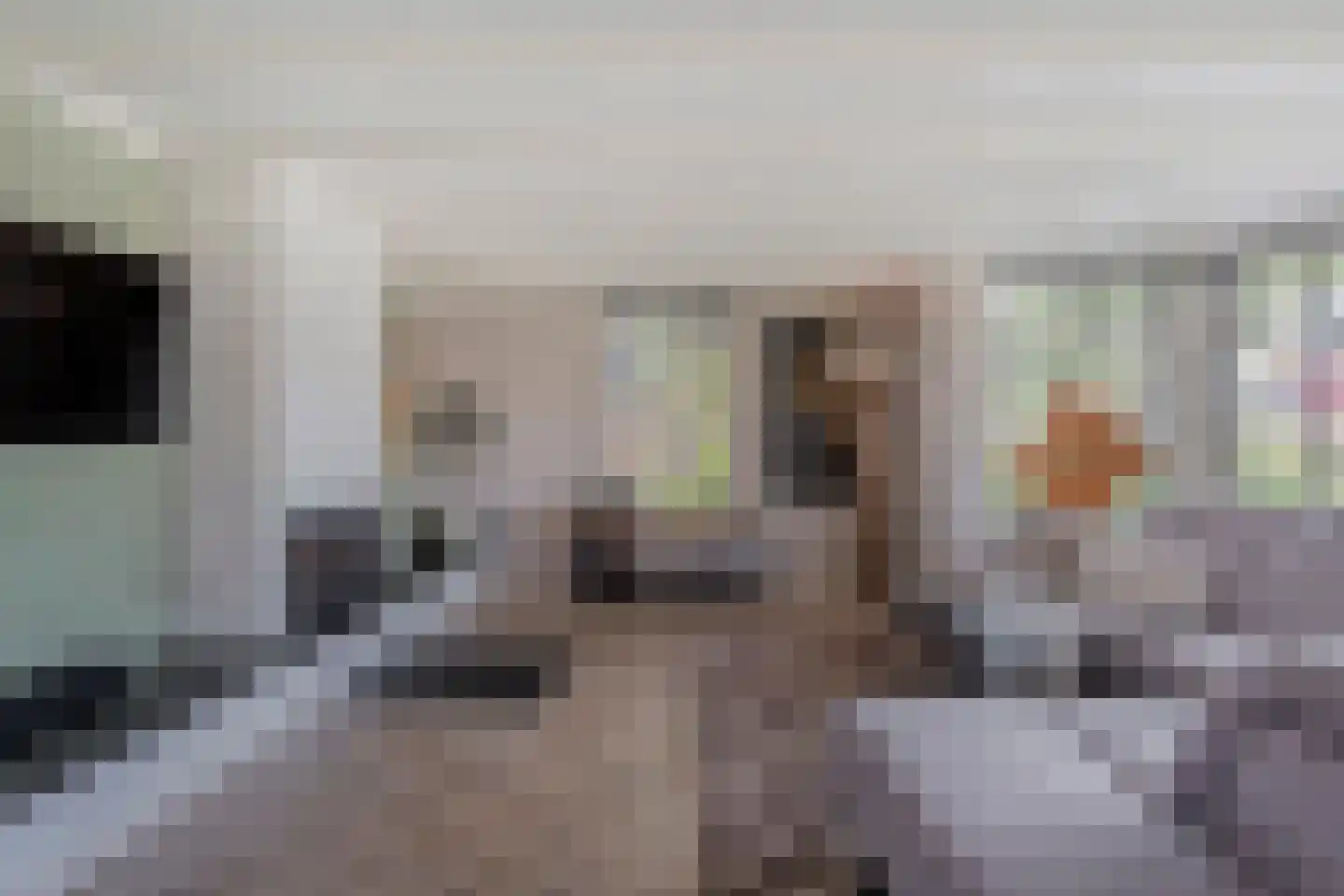 Langewijk 264 Dedemsvaart thumbnail 12
