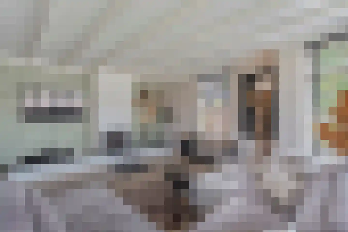 Langewijk 264 Dedemsvaart thumbnail 13