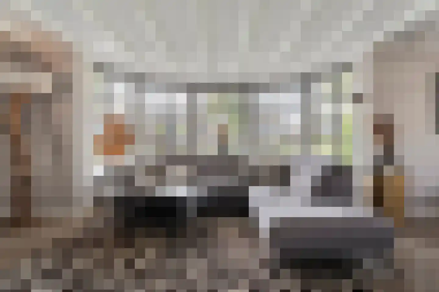 Langewijk 264 Dedemsvaart thumbnail 14