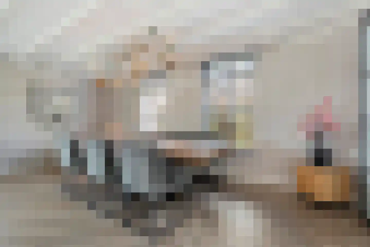 Langewijk 264 Dedemsvaart thumbnail 15