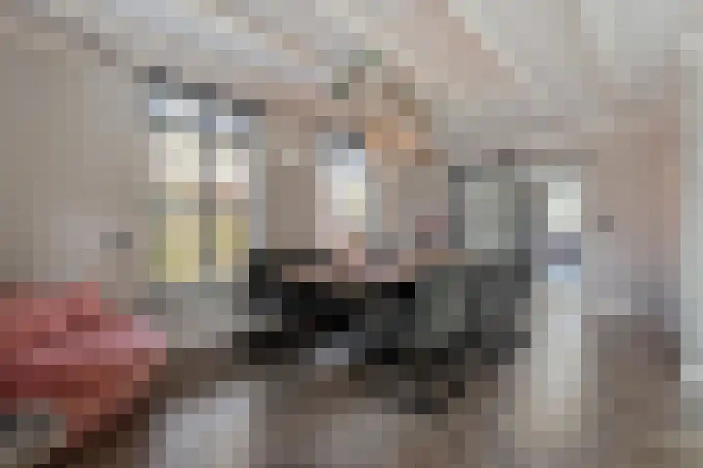 Langewijk 264 Dedemsvaart thumbnail 16