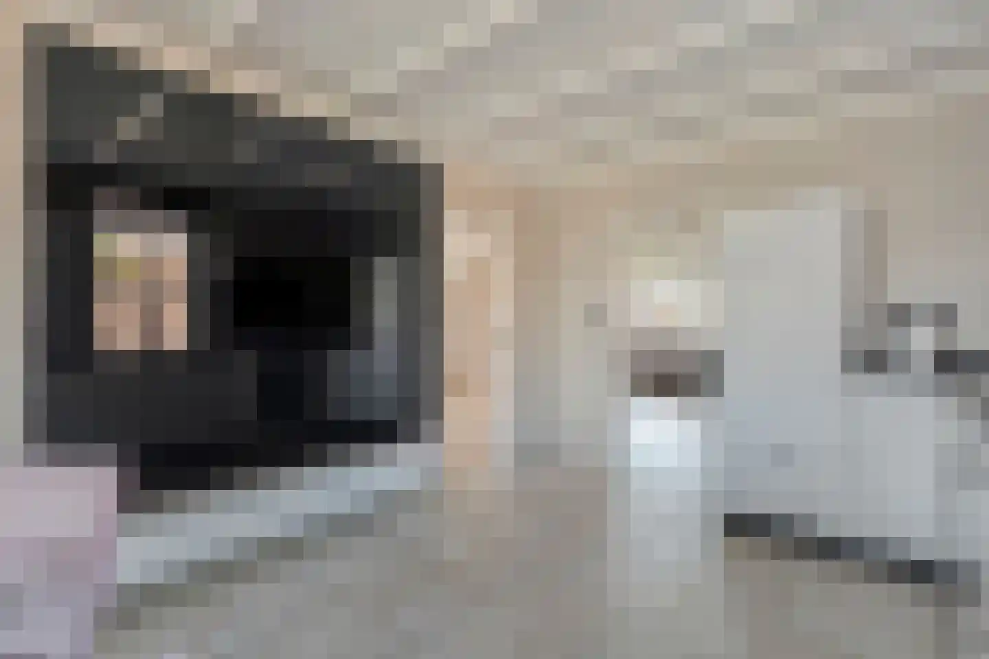 Langewijk 264 Dedemsvaart thumbnail 18