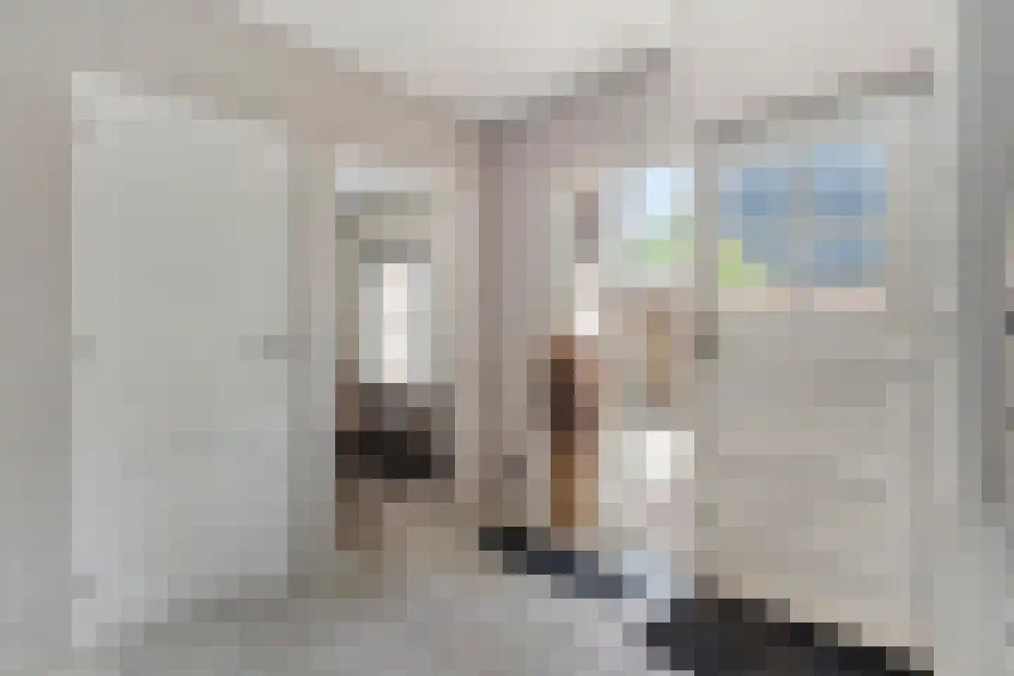 Langewijk 264 Dedemsvaart thumbnail 31