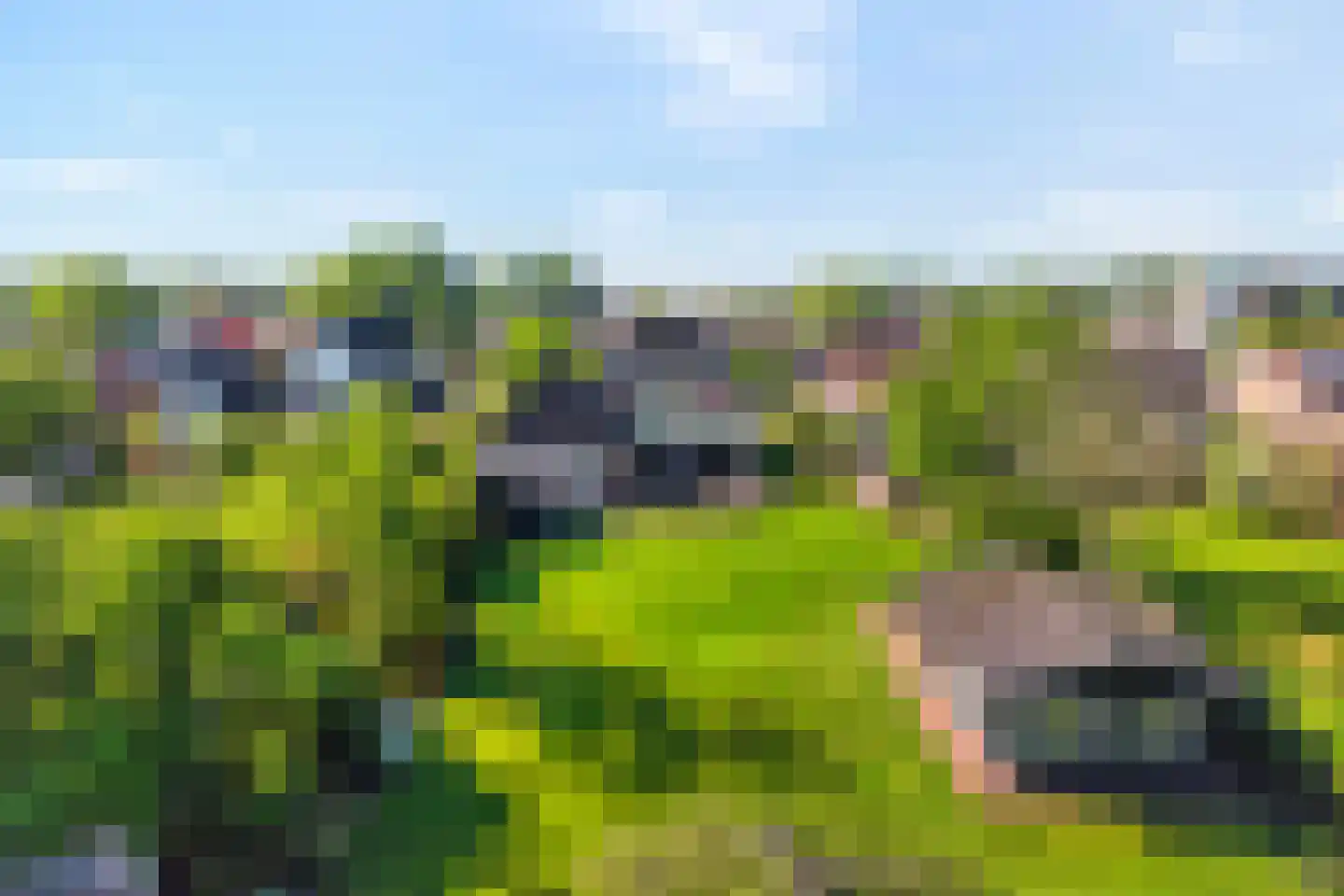 Langewijk 264 Dedemsvaart thumbnail 4