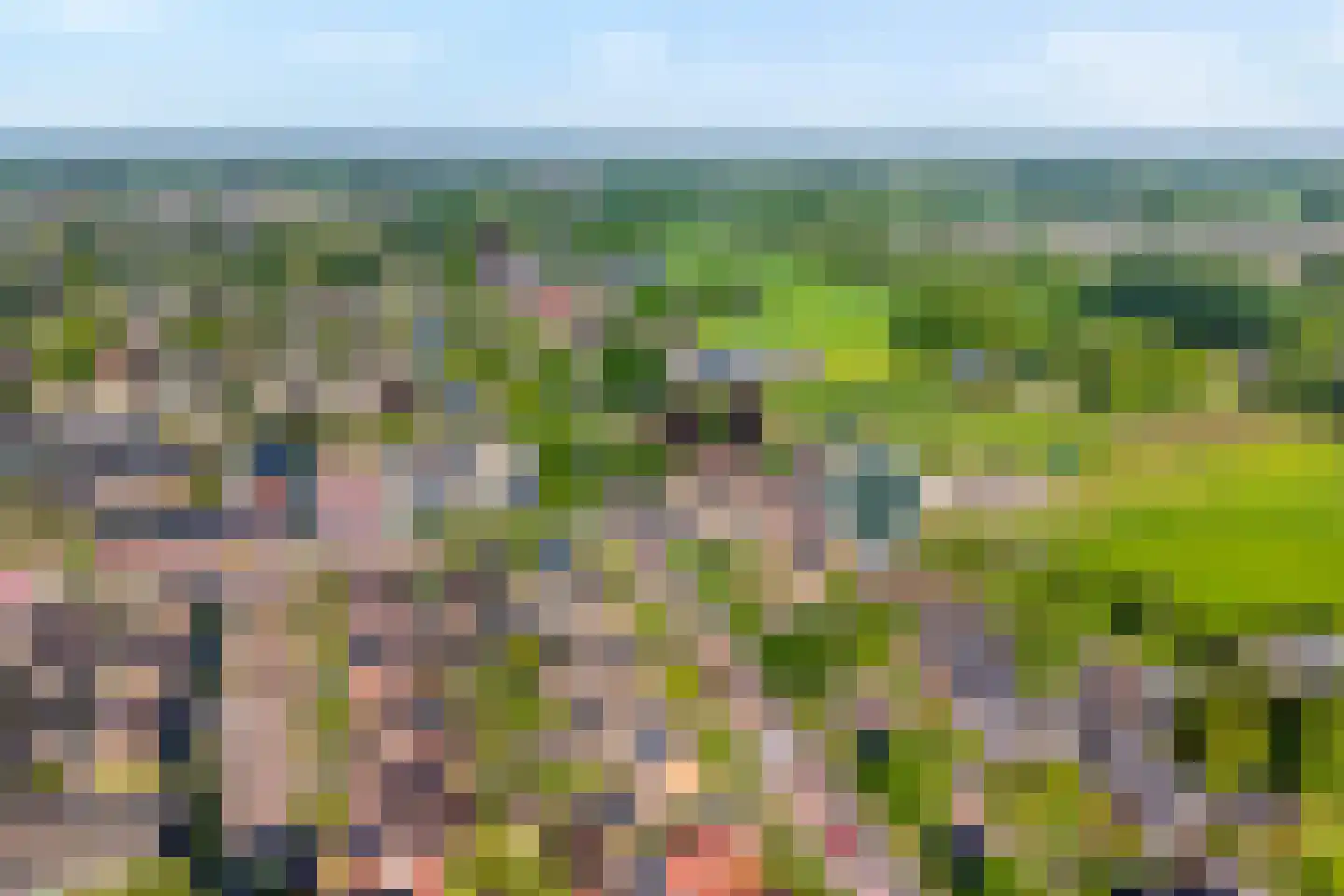Langewijk 264 Dedemsvaart thumbnail 5