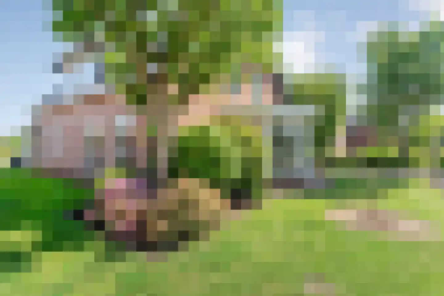 Langewijk 264 Dedemsvaart thumbnail 51