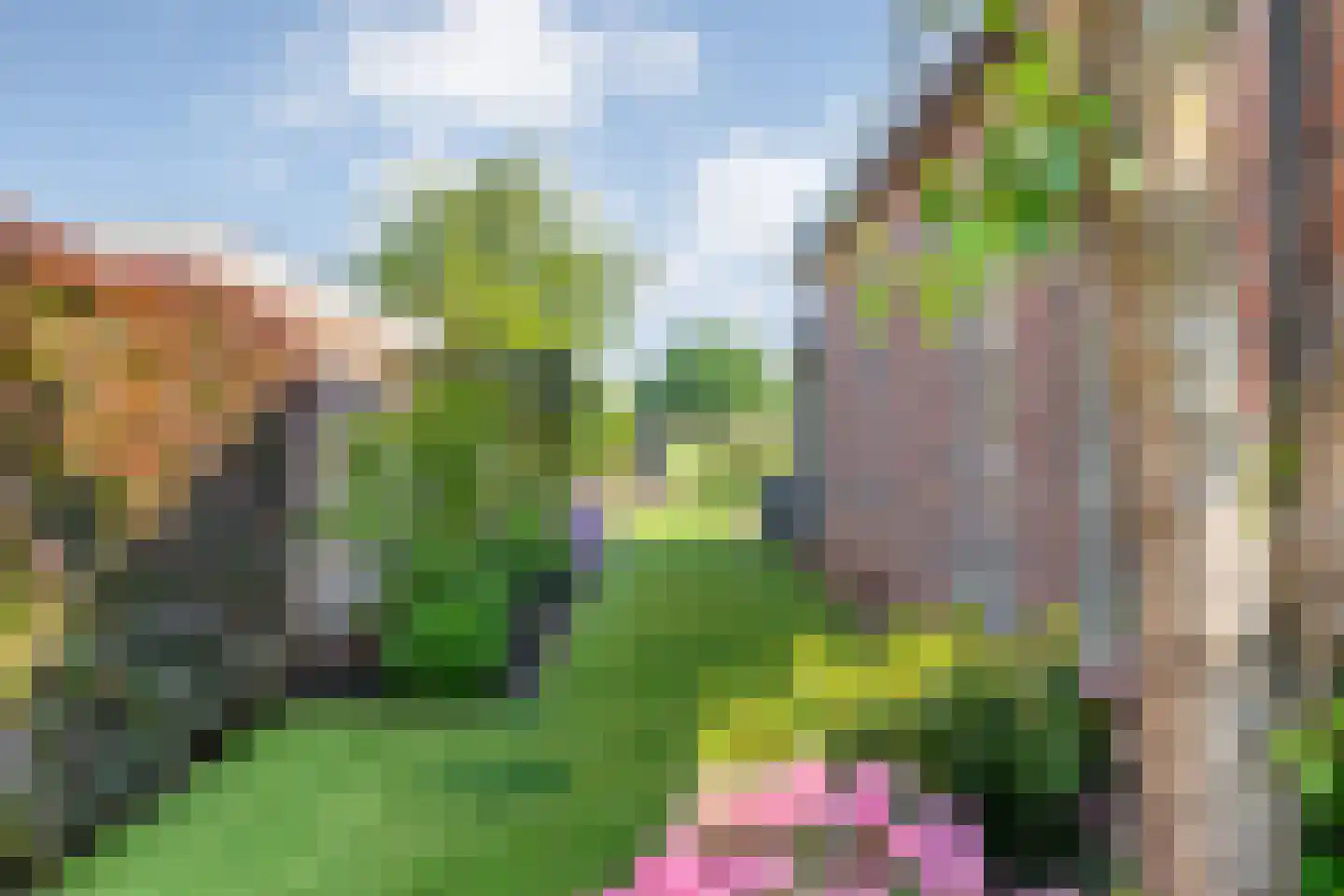 Langewijk 264 Dedemsvaart thumbnail 52