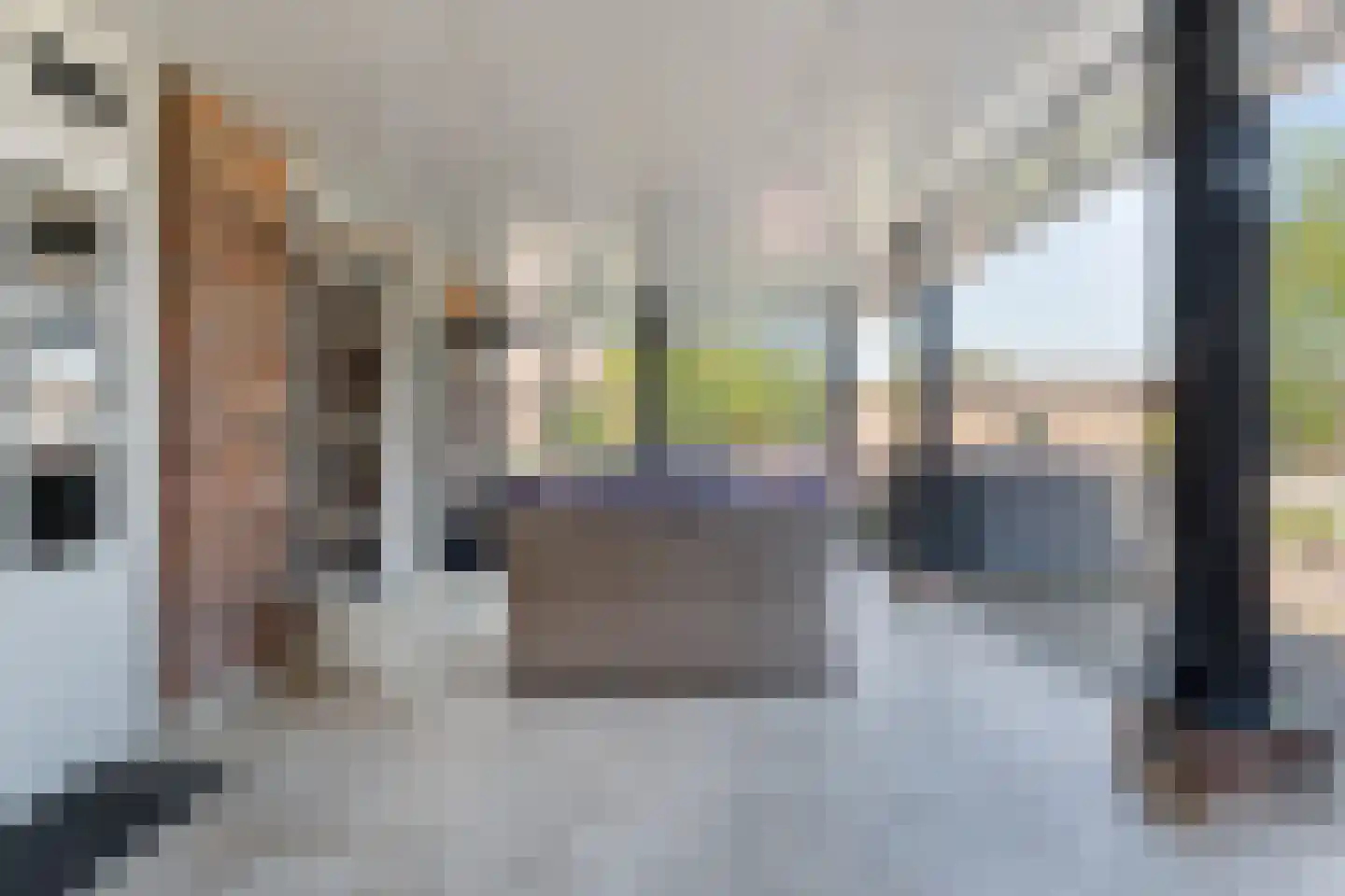 Langewijk 264 Dedemsvaart thumbnail 55