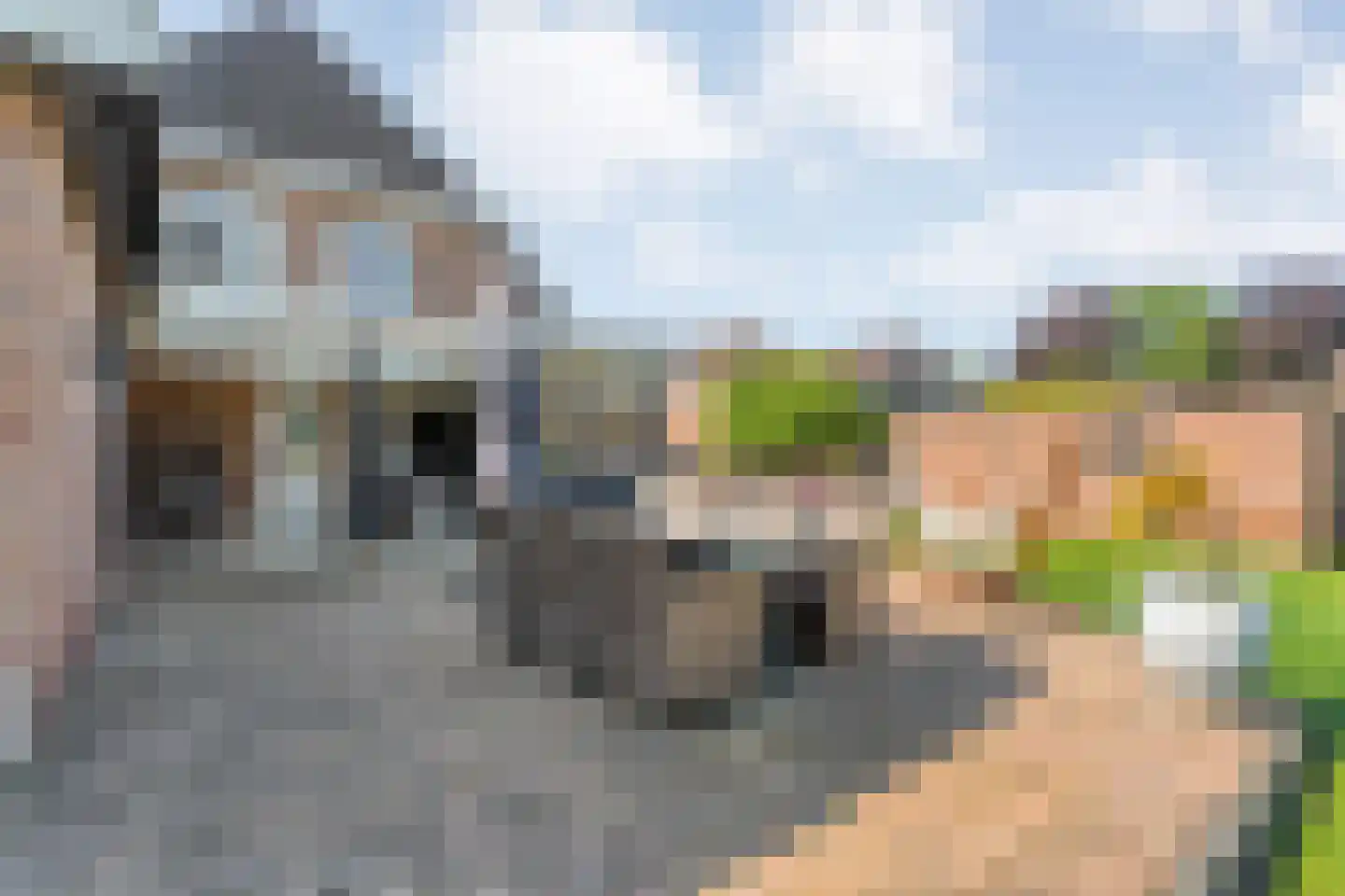 Langewijk 264 Dedemsvaart thumbnail 60