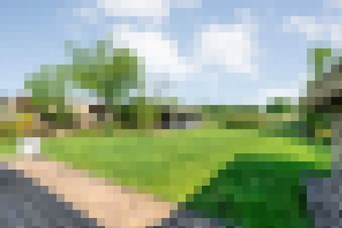 Langewijk 264 Dedemsvaart thumbnail 61