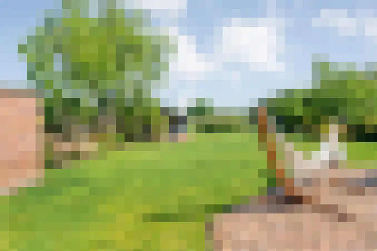 Langewijk 264 Dedemsvaart thumbnail 62