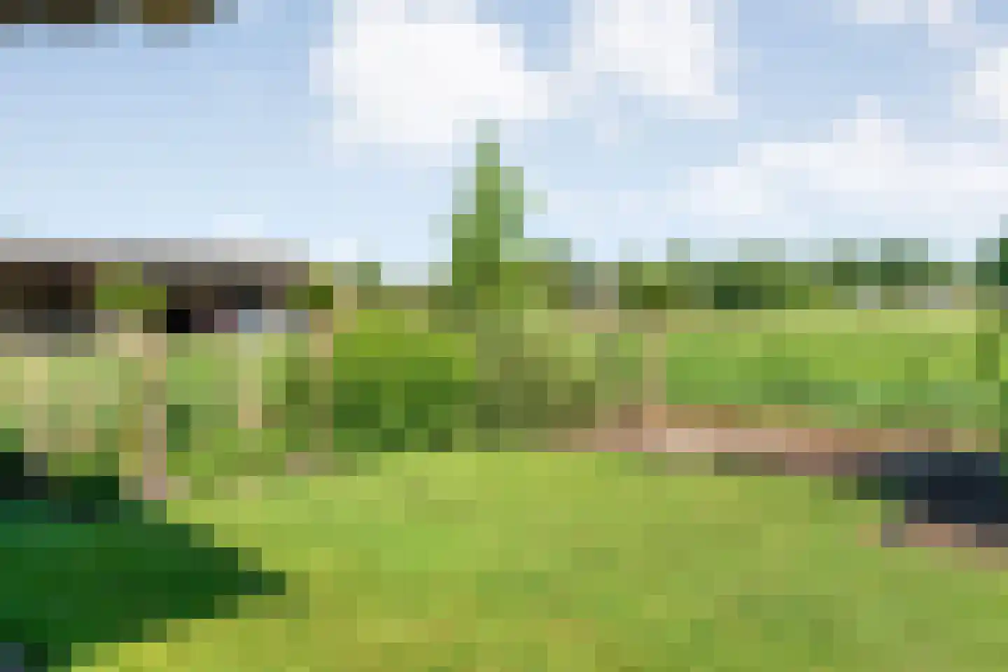 Langewijk 264 Dedemsvaart thumbnail 64
