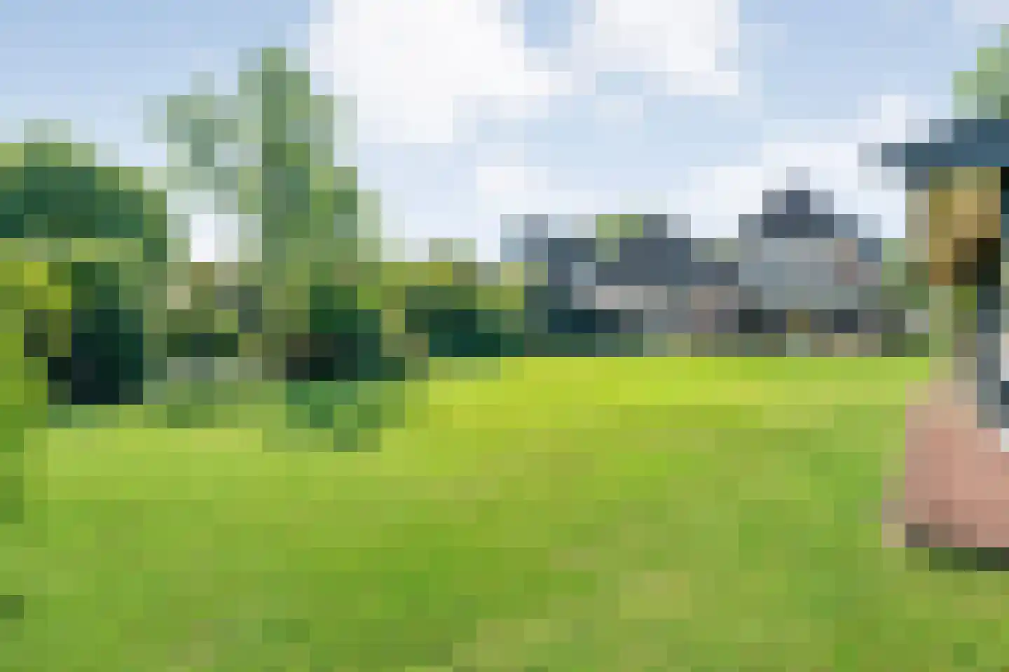 Langewijk 264 Dedemsvaart thumbnail 65