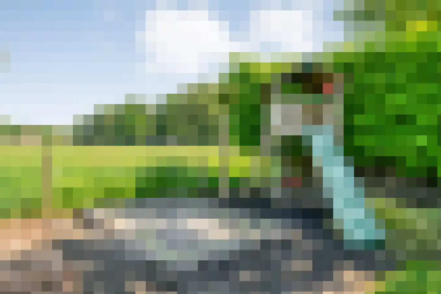 Langewijk 264 Dedemsvaart thumbnail 66