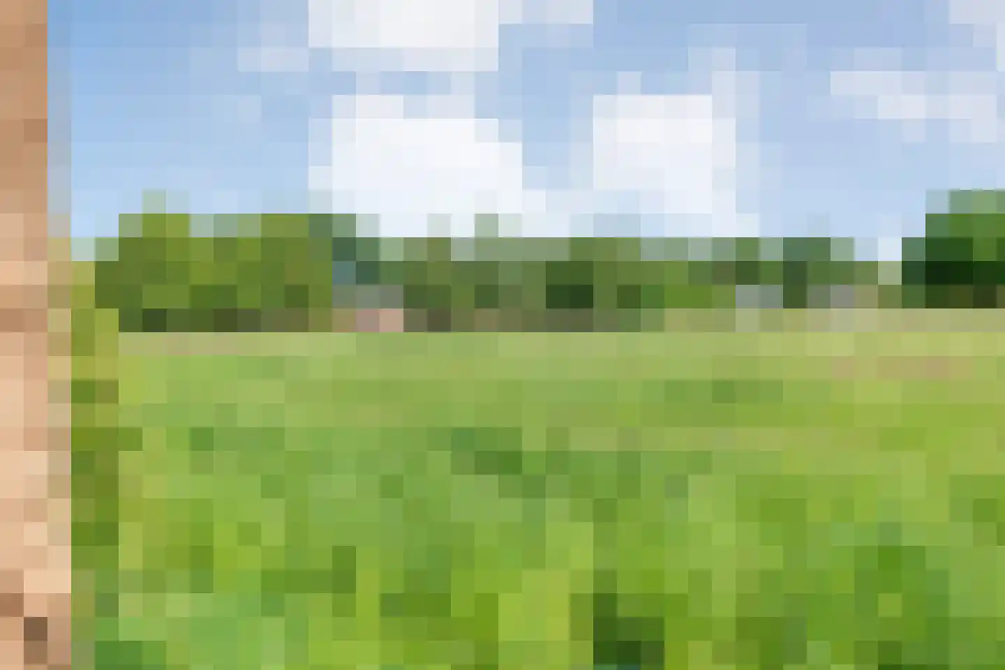Langewijk 264 Dedemsvaart thumbnail 67