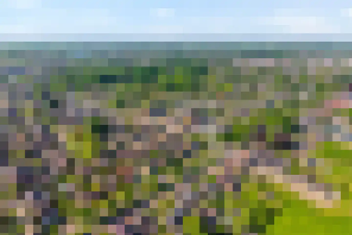 Langewijk 264 Dedemsvaart thumbnail 71