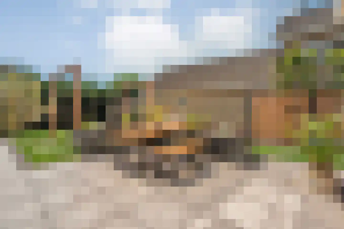 Langewijk 33 Dedemsvaart thumbnail 40