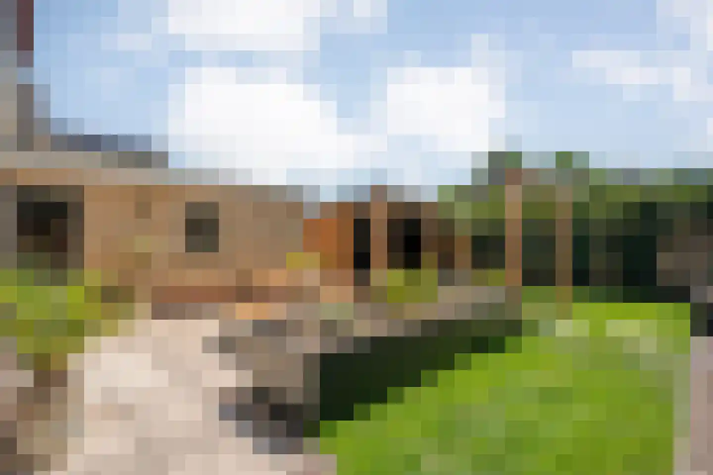 Langewijk 33 Dedemsvaart thumbnail 41